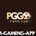 763brl Premium Gaming App